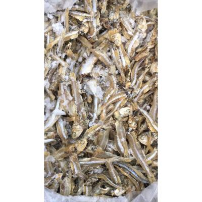 China Wholesale Nutritious Dried Whole Dried Anchovies Export Anchovies High Salt Fish Nutritious for sale