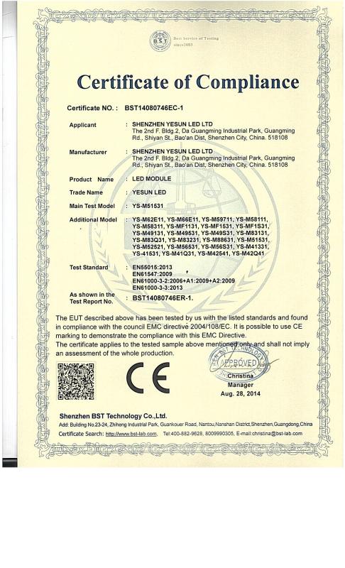 CE - Shenzhen Yesun Led Limited