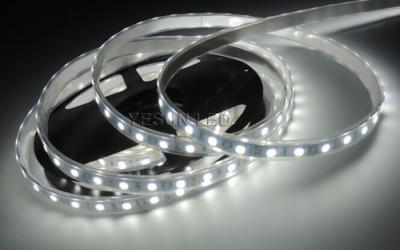 Chine Bande menée ultra lumineuse blanche/froide chaude 55050 de blanc 60 × du × 10 de Led/M 5000 2 millimètres à vendre