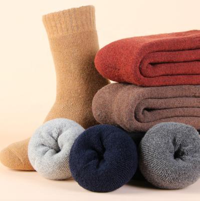 China Yili Breathable Cushion Sports Comfy Thermal Solid Color Crew Terry Wool Unisex Whole Merino Socks For Winter for sale