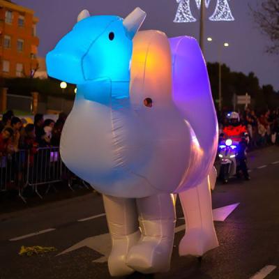 China Decoration Walking LED Lighted Inflatable Camel Costume For Outdoor Street Parade Decoration for sale