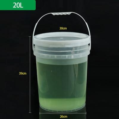 China Paint Sealing Custom Large Recycled Food Bucket Plastic Liner - 5 Gallon Clear Water Bucket With Lid And Handle For Packing for sale