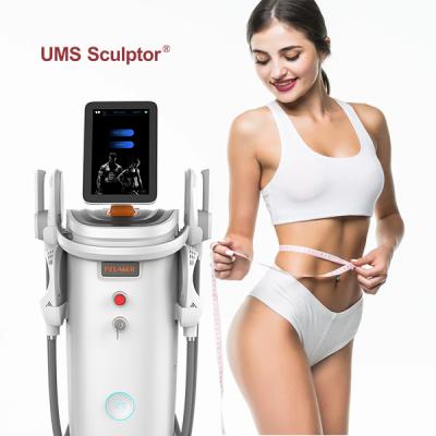 China Latest Weight Loss Lumzeus Muscle Stimulator EMS Electric Muscle Sculpt Machine For To Lose Weight for sale