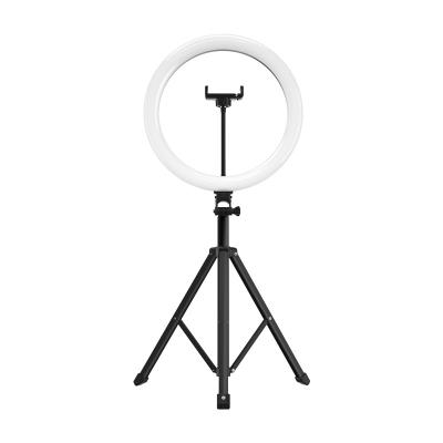 China All in One New Collapsible 202 Ring Light with RK53 30cm Stand Photo Ring Light for sale