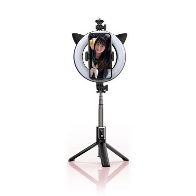 China New Selfie Stick Model RK02 Rechargeable Led Wireless Remote Tripod RK-02 Ring Light Selfie Stick RK-02 for sale