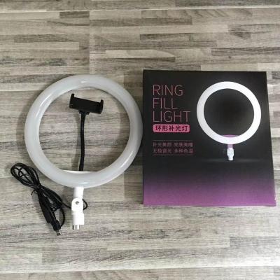 China 10 Inch Selfie Light Plastic Circle With Phone Holder for sale