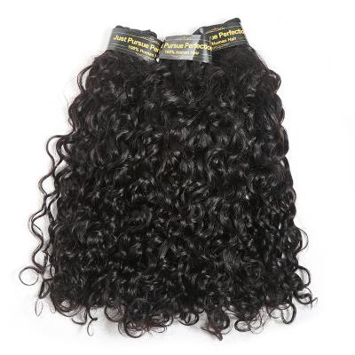 China Natural Raw Indian Virgin Hair 100 Grade 8A Water Wave Silky Straight 100 Hair Unprocessed for sale