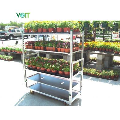 China Detachable Adjustable Height SEES Galvanized Steel Display Flower Greenhouse Nursery Dane Plant Trolley for sale