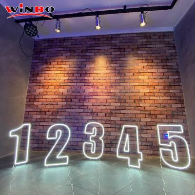 China Warehouse Dropshipping Custom Number 1 to 9 Neon Sign Wall Letters Led Neon Sign Light RGB Acrylic Custom Letter Led Flex Neon Strip Light for sale