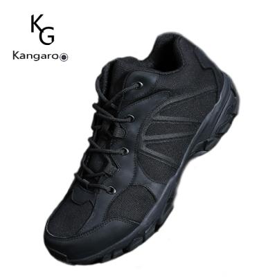 China Men's Non-slip Wear-resistant Outdoor Rise Training Boot Low Top Anti-slippery Shoes Military Combat Boots Shoes for sale