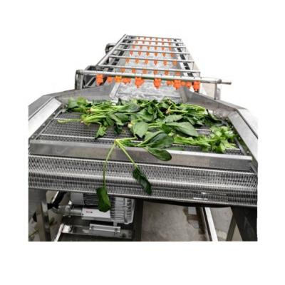 China High Quality Snack Factory 2021 Commercial Vegetable Cleaning Machine for sale