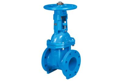 China Soft sealing Gate Valve for sale