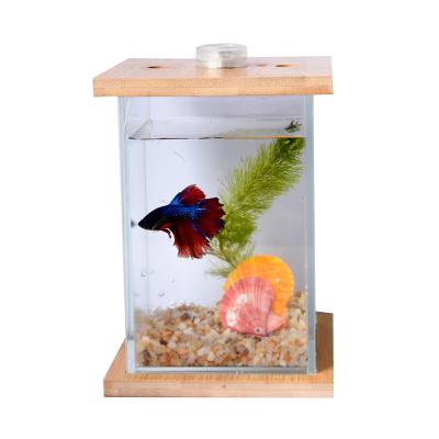 China Viable Wholesale Desktop Mini Best Aquarium Glass Aquarium Small Fish Tank for sale