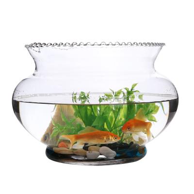 China Mini Best Aquarium Viable White Desktop Small Aquarium Glass Fish Tank for sale