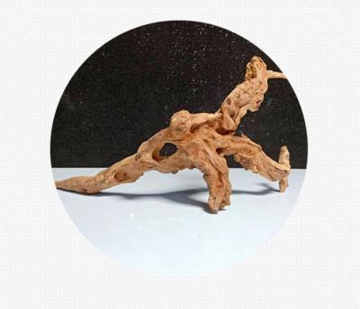 China Viable wholesale a variety of shapes of aquarium coral wood landscape fish tank downspout accessories for sale