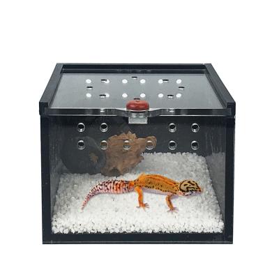 China Viable Hot Wholesale Amazon to Buy Factory Reptile Box Acrylic Lizard Reptile Cage for sale