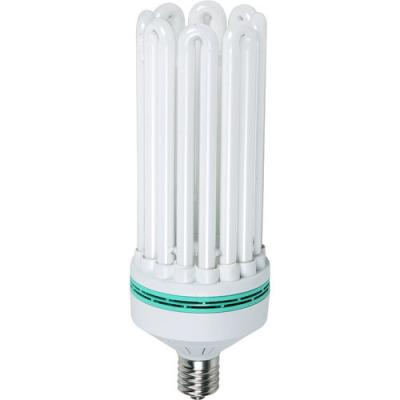 China 150w / 180w / 210w Energy Saving Daylight Bulbs Lights For Room / Interior , T2 8u for sale