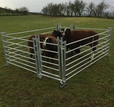 China Tubular Farms Cattle Gate SHEEP TRAY with locking loops to join together FULLY WELDED for sale