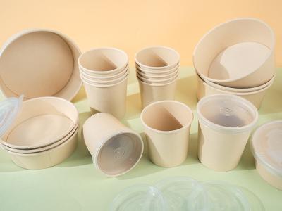 China Disposable 335 Gsm Bamboo Pulp Paper Bowls Takeaway 16 Oz With Lids zu verkaufen