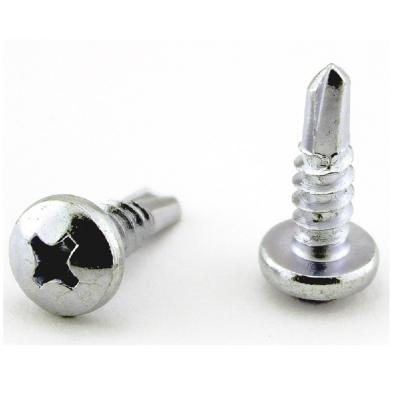 China food & Screw Taiwan M6-M30 Tek Steel Beverage Self Drilling Screw, Galvanized for sale