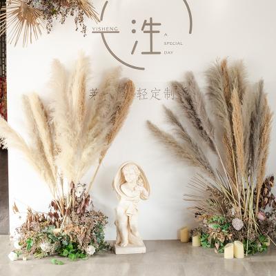 China Wholesale Festival Factory Wedding Party Decoration Dried Flowers Natural White Rose Large Pampas Grass for sale