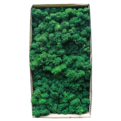 China Wall Decoration Amazon Wall Warm Decor High Quality Various Colors Preserved Moss Panel Wall for sale