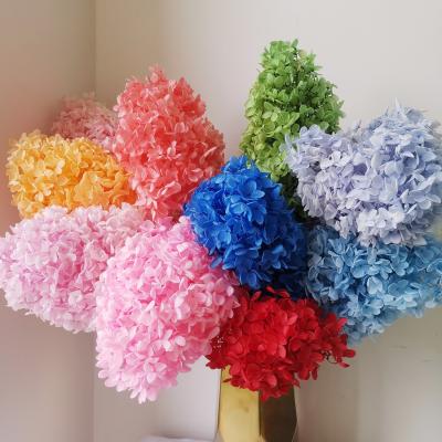 China 2021 festival most popular hydrangea true preserved dry flowers for wedding decoration for sale