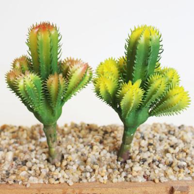 China Eco-friendly Cactus Plant Eco-friendly Artificial Plant Pastic Plants Outdoor Cactus for sale