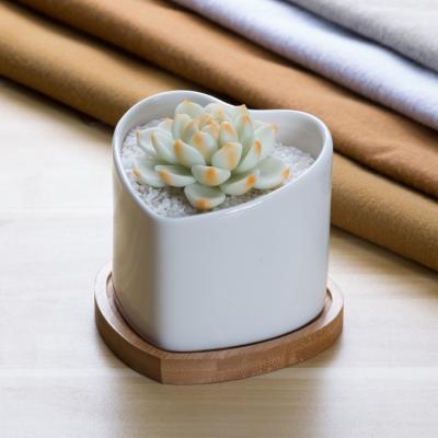 China Modern Cute Custom Heart Mini Succulent Shape White Ceramic Planter Pot for sale