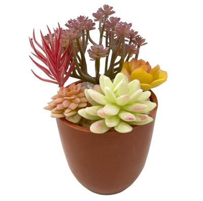 China Professional moder garden creative wholesale flowerpot aesthetic and durable workmanship small for sale