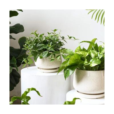 China Europe Handmade Hanging Garden Plant Pots For Plants Outside Outdoor Plant Pots for sale