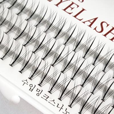 China Natural Soft Eyelash Extensions Individual Supplies Volume Premade Quick Fanning Made Fans Group Eyelash Extensions for sale