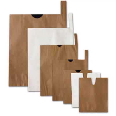 China Recycled Fruit Direct Protection Anti-fly Materials Plant Anti-bird Kraft Paper Fruit Breeding Eco-friendly Bag For Mango Grapes for sale