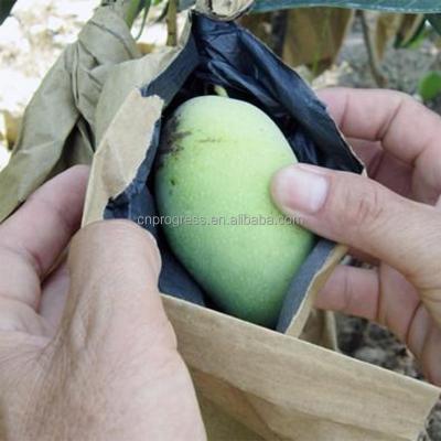 China Recycled Materials Wholesale Customized Fruit Growing /Double Insect Protection Cover Bag Mango Bag Single Layer Anti Water Proof Bag for sale