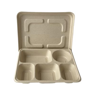 China Color Biodegradable Biodegradable Buffet Tray Lunch Box Disposable Takeout Tableware for Christmas Party for sale