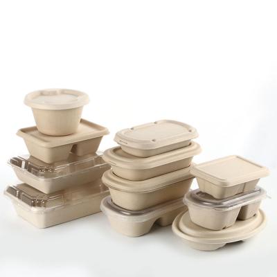 China Disposable biodegradable sugar bagasse bento food box storage container box for food for sale