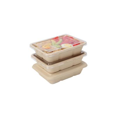 China Disposable Degradable Sugar Cane Bagasse Paper Tableware Food Containers Box for sale