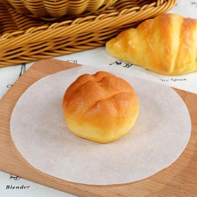 China Household Greaseproof Greaseproof Cake Baking Precut Parchment Paper Baking Round Roll For Food Packaging Barbecue for sale