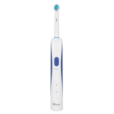 China Iconbeauty Electric Toothbrush Vibrator Waterproof Rotary Rotating Electric Toothbrush ipx7 for sale