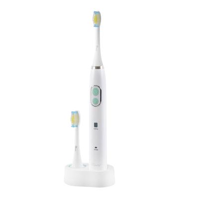 China OEM Battery Operated Automatic Sonic Toothbrush Electric With Travel Case for sale