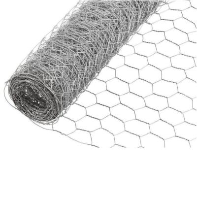 China Good Corrosion Resistance PVC Coated Or Galvanized Twisted Hexagonal Iron Wire Double Wire Mesh for sale