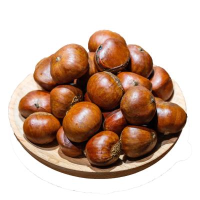 China Kuancheng Fresh Natural Sweet Fresh Chestnut For Sale for sale