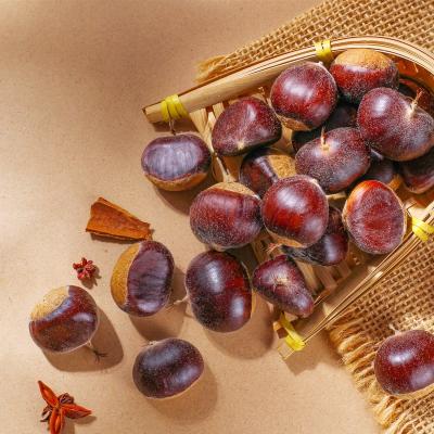 China Shandong New Culture Easily Pleed Fresh Sweet Chestnuts - (delicious, sweet) for sale