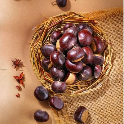 China Best Fresh Chinese Chestnuts For Sale Dandong Organic Chestnuts for sale