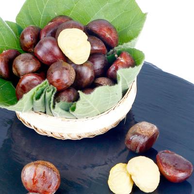 China 2021 fresh 100-120 grain kuancheng fresh chestnut years of new for sale