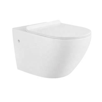 China Modern Hot Selling Accept Customization P-trap Eddy Double Hole Wall Hung Ceramic Toilet Cabinet Packaging for sale