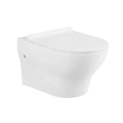 China Factory Sale Various Eddy Double Hole Wall Hung Modern Widely Used Closet Bathroom Ceramic Toilet for sale