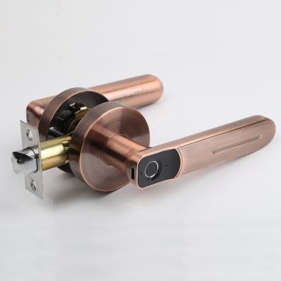 China Custom Doors Digital Fingerprint Entry Plate Zinc Alloy Hardware Smart Prices Cheap Heavy Duty Door Lever Handle Lock for sale