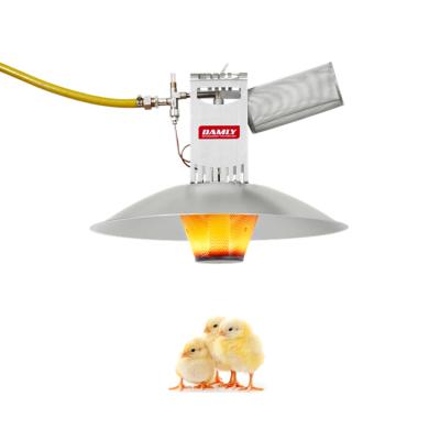 China Wholesale Bird Farm Poultry Farm Quail Poultry Farm Radiant Heat Infrared Brooder Heater For Sale for sale