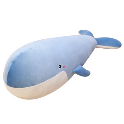 China Blue Whale Plush Toy Whale Whale Pillow Stuffed Toys Aquarium Marine Organism Gifts Soft Souvenirs Children Large for sale